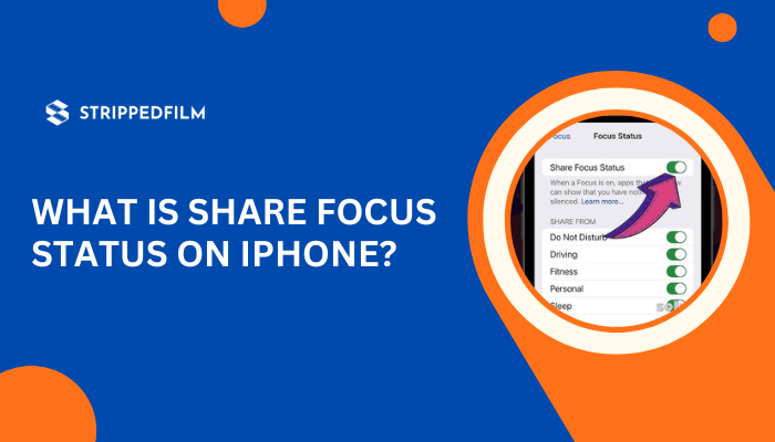 What is Share Focus Status on iPhone