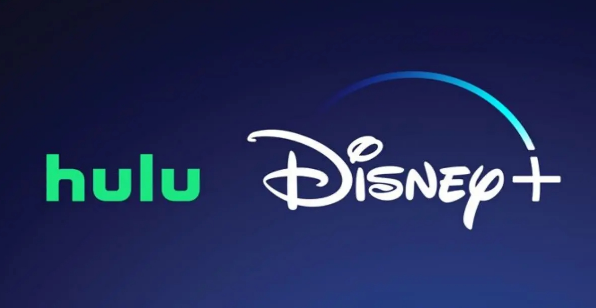 Disney Bundle Duo Disney Bundle Duo