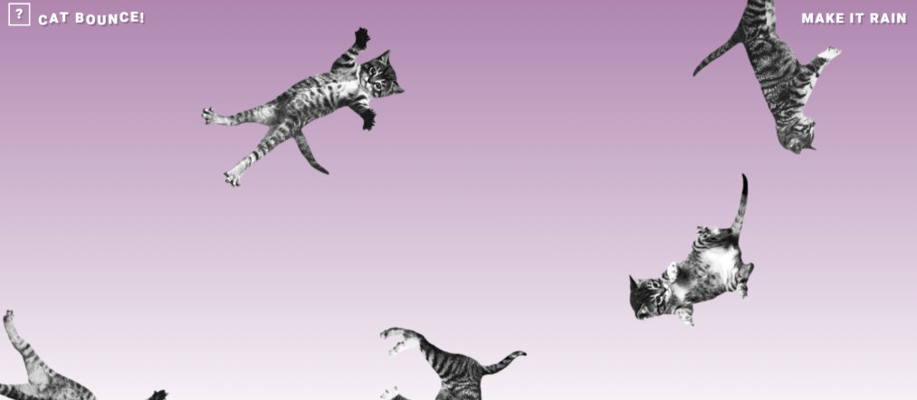 Cat Bounce Cat Bounce
