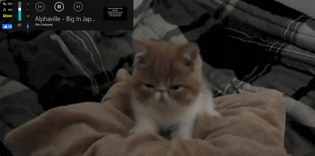 Procatinator Procatinator