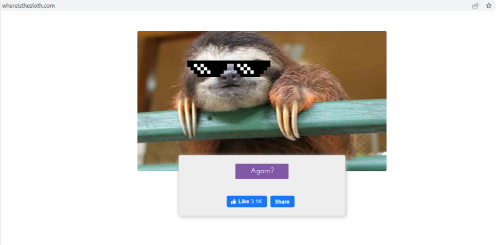 Where is the sloth Where is the sloth
